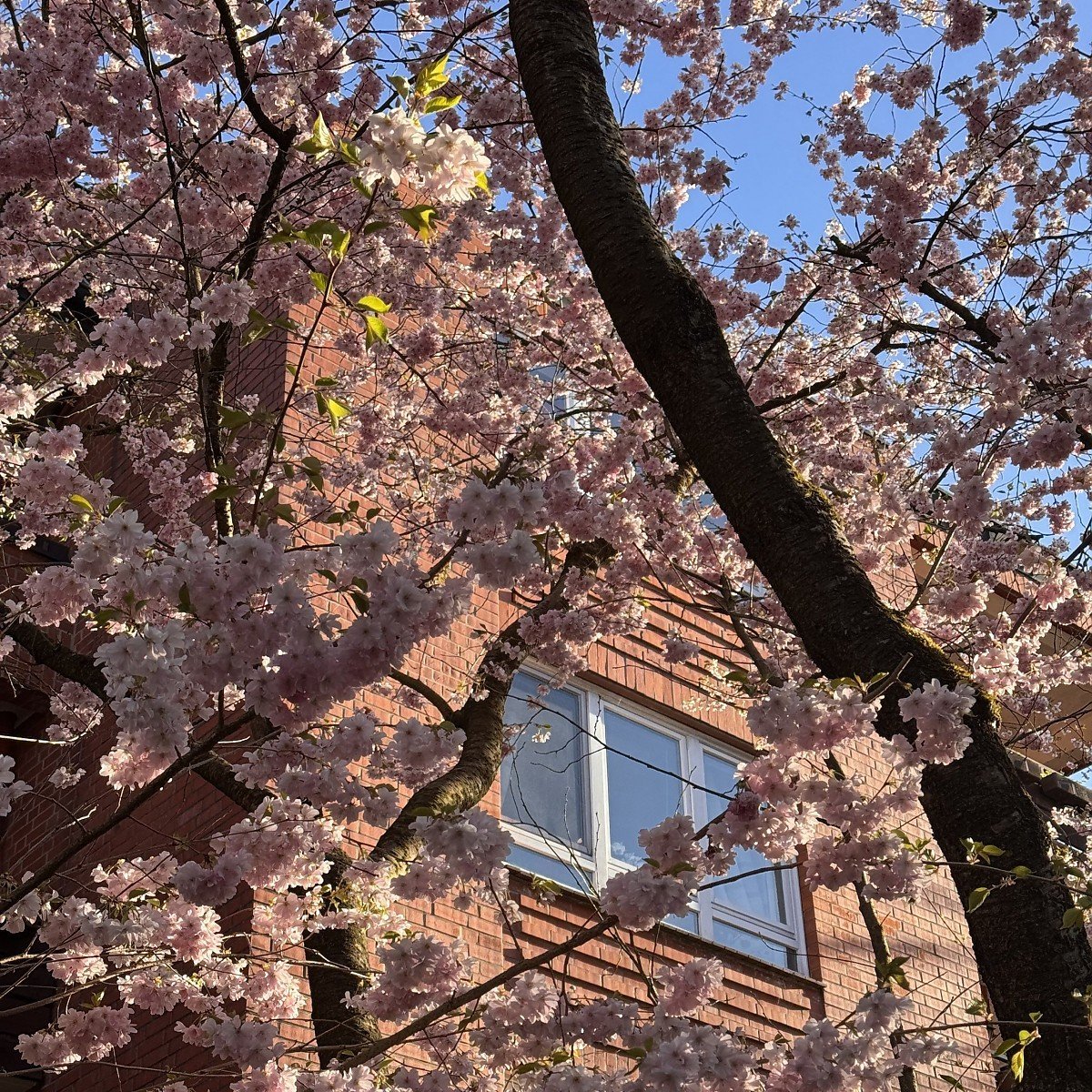 Foto Hausverwaltung mit Fokus auf Wertentwicklung